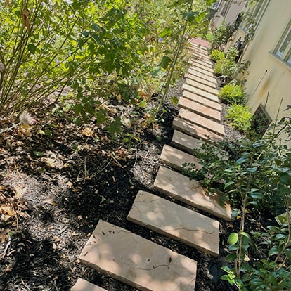 Garden steps in dappled light